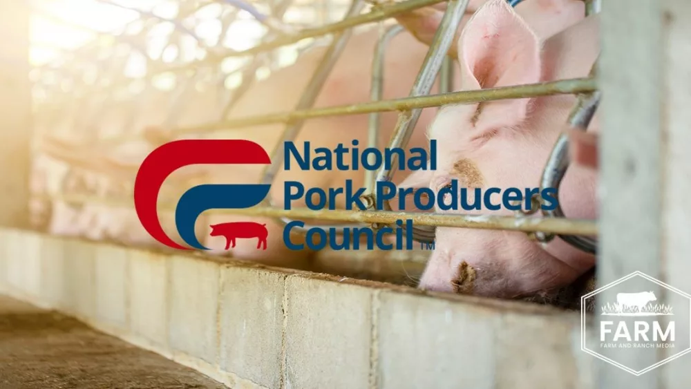 adobestock_565746393