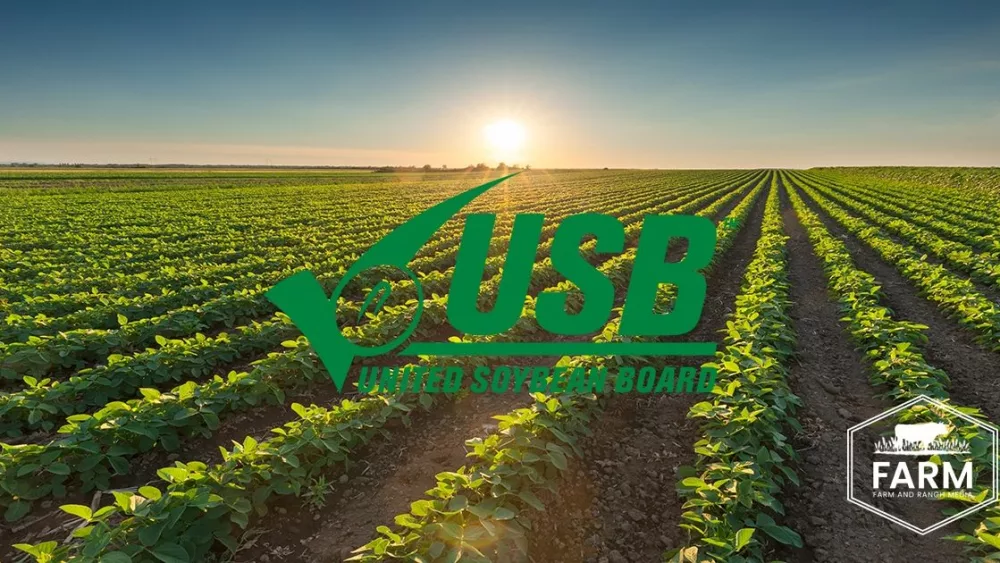 adobestock_171935650