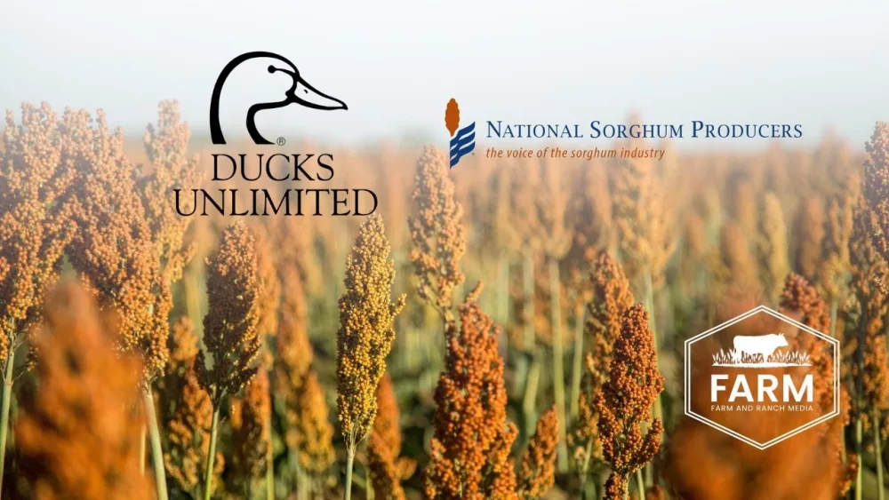 web-photo-template-1020x640-youtube-thumbnail-39