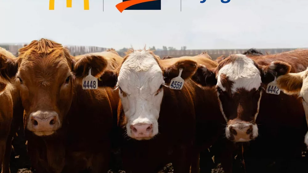 v3-enogen-press-release