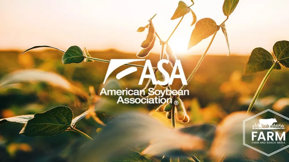 adobestock_169688620