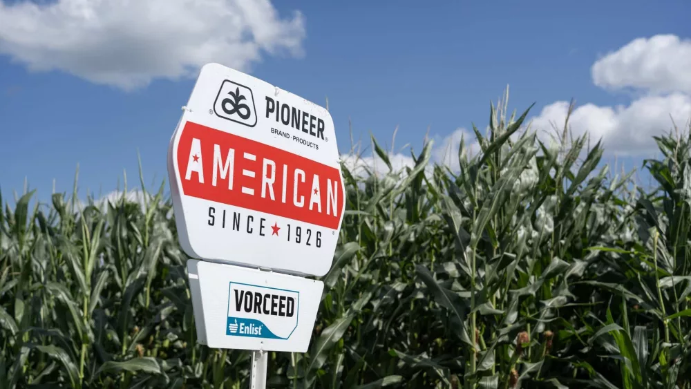 20240718cor_corn_hubbard_iowa_0001-lowres