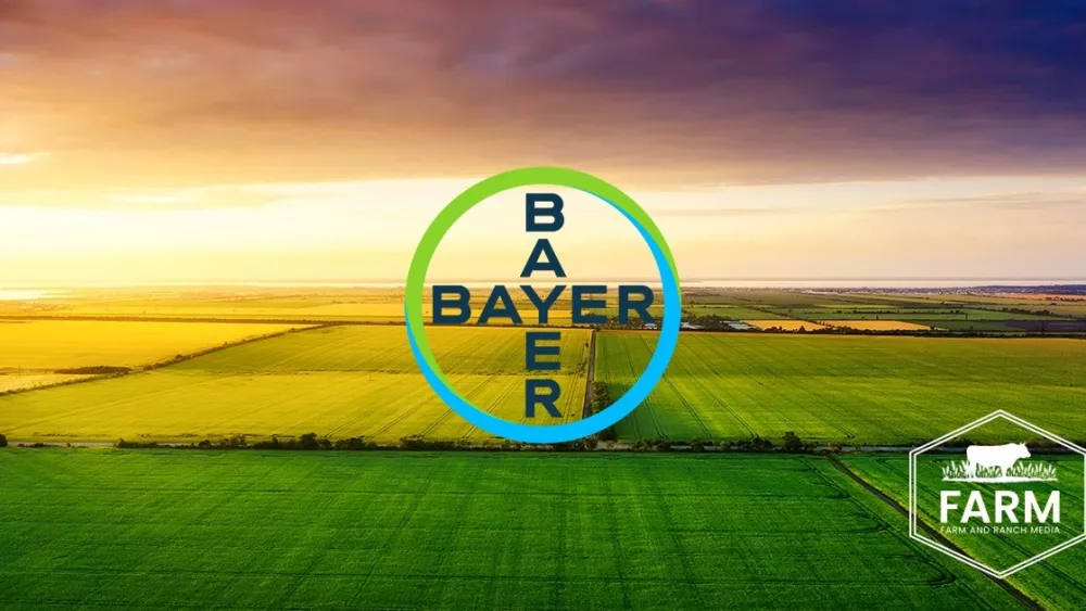 adobestock_272878338