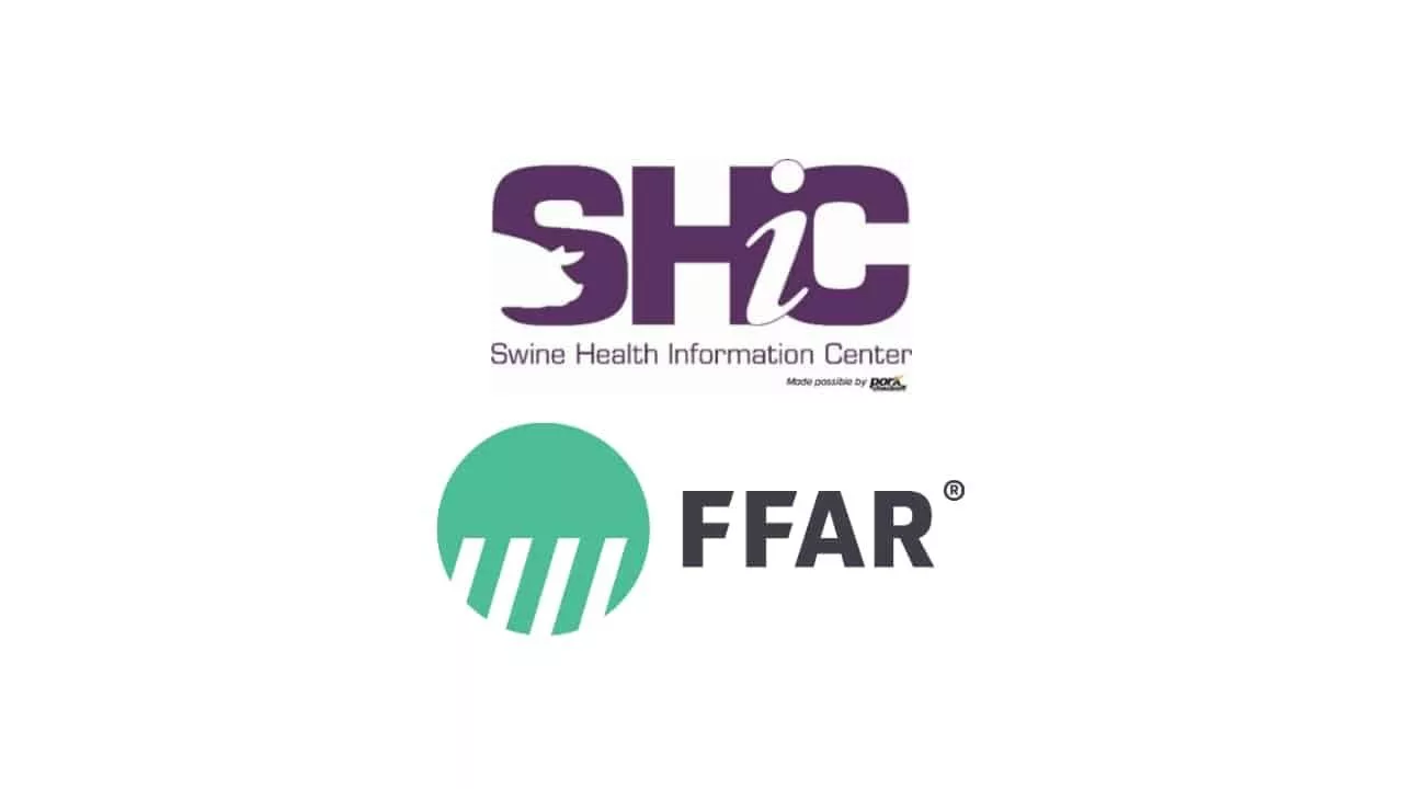 web-photo-template-1020x640-youtube-thumbnail-48