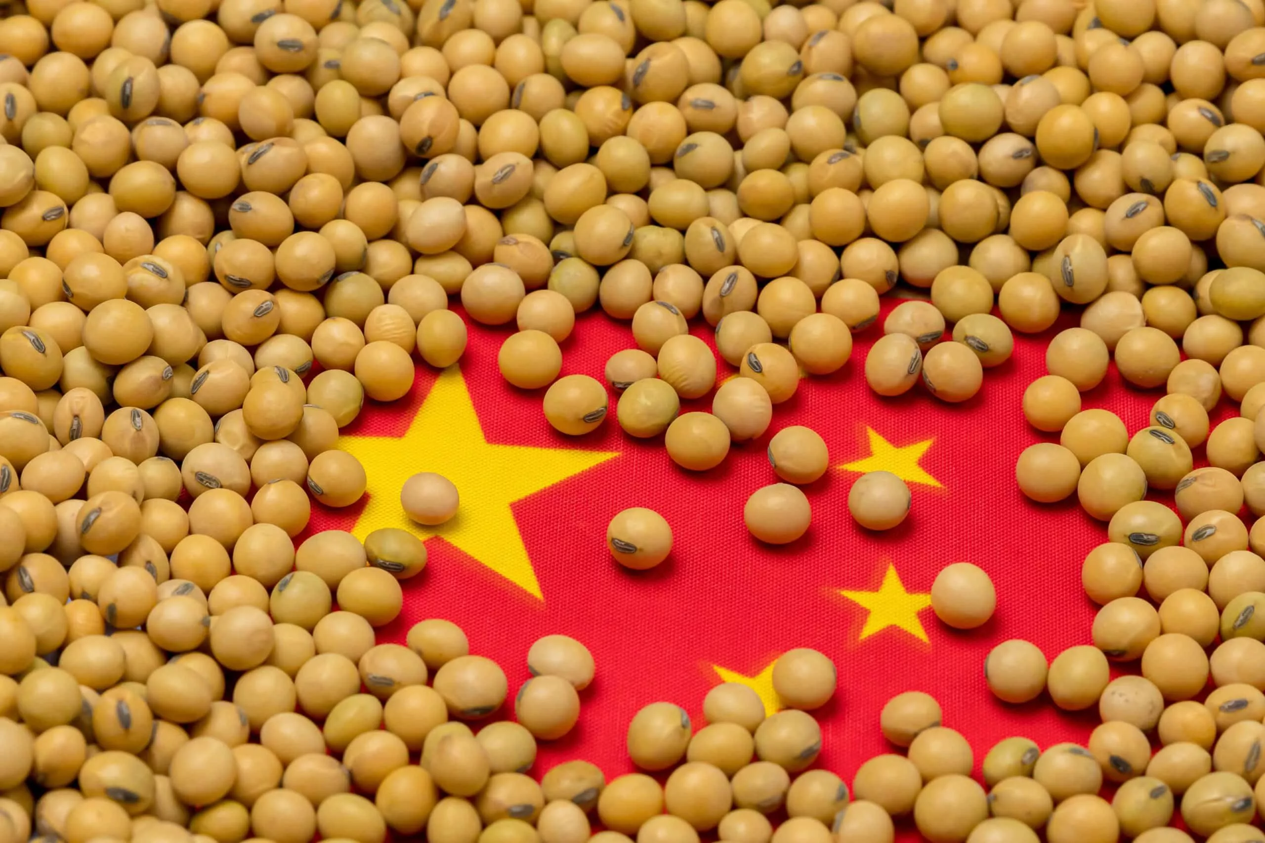 flag-of-china-covered-in-soybeans-concept-of-chinese-agricultural-imports-exports-trade-trade-war-tariffs-production-and-commodity-markets