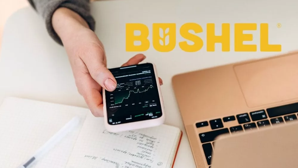 web-photo-template-onecms-1000-x-563-px-2