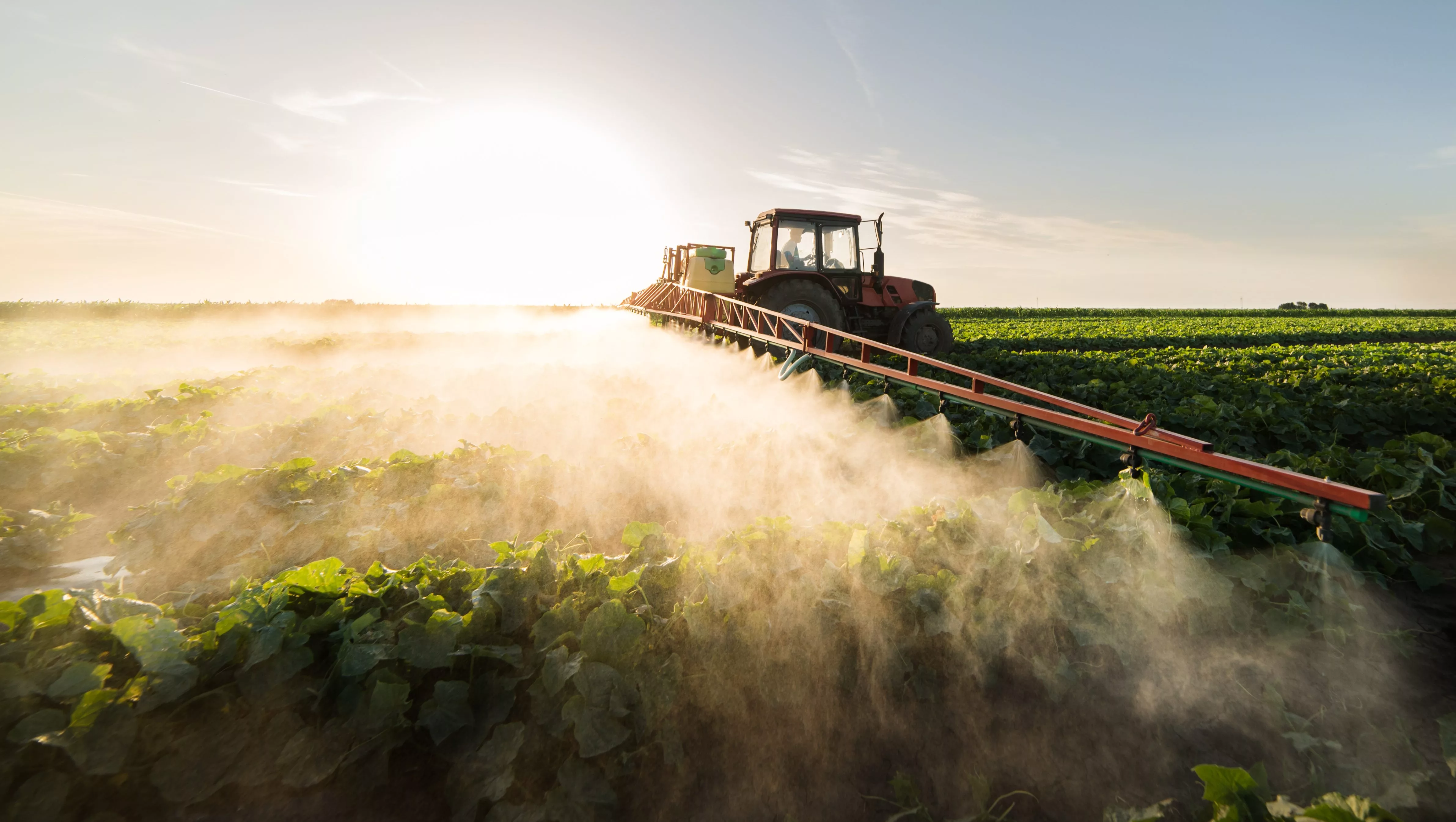 farmer-on-a-tractor-with-a-sprayer-makes-fertilizer-for-young-ve