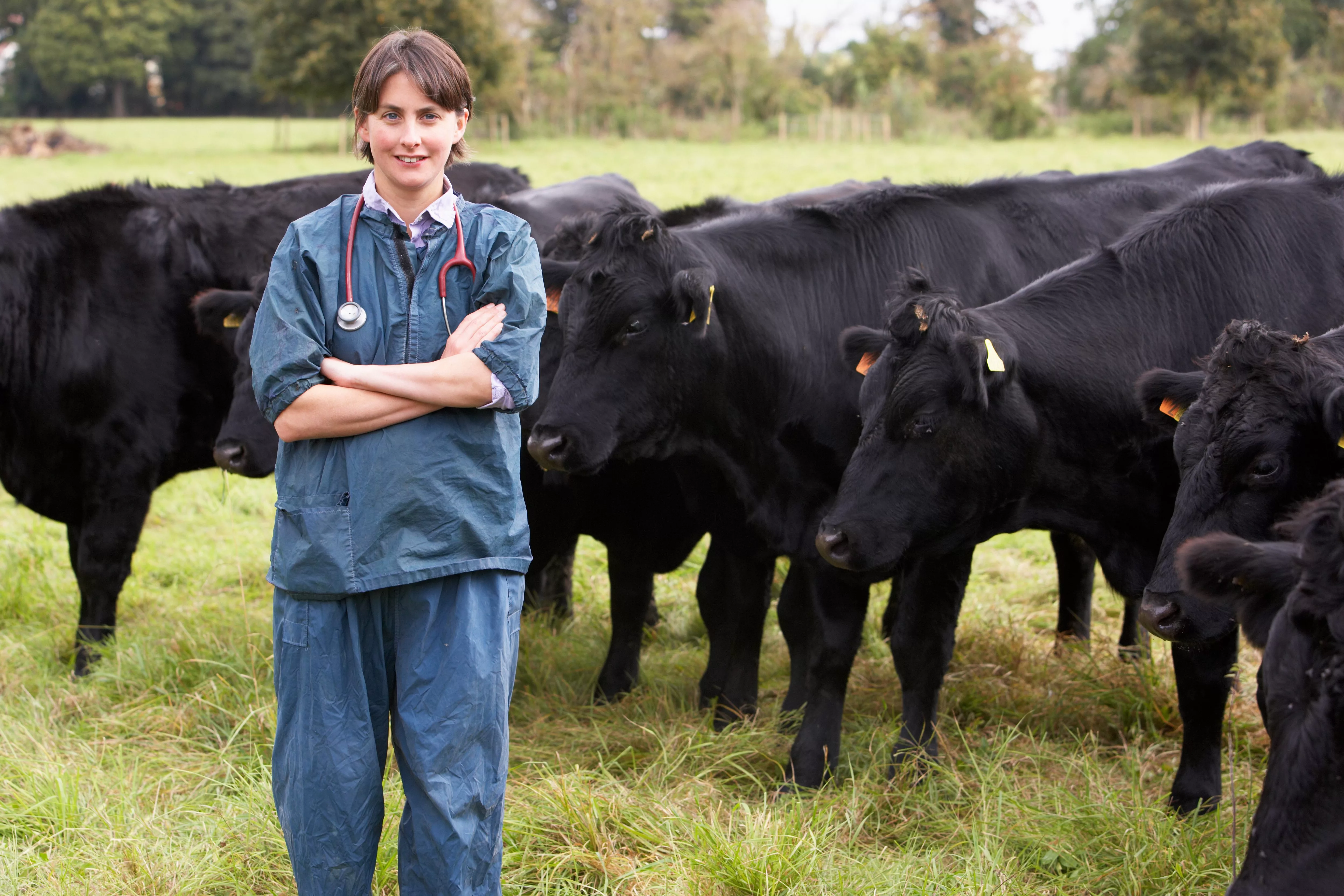 portrait-of-vet-in-field-with-cattle