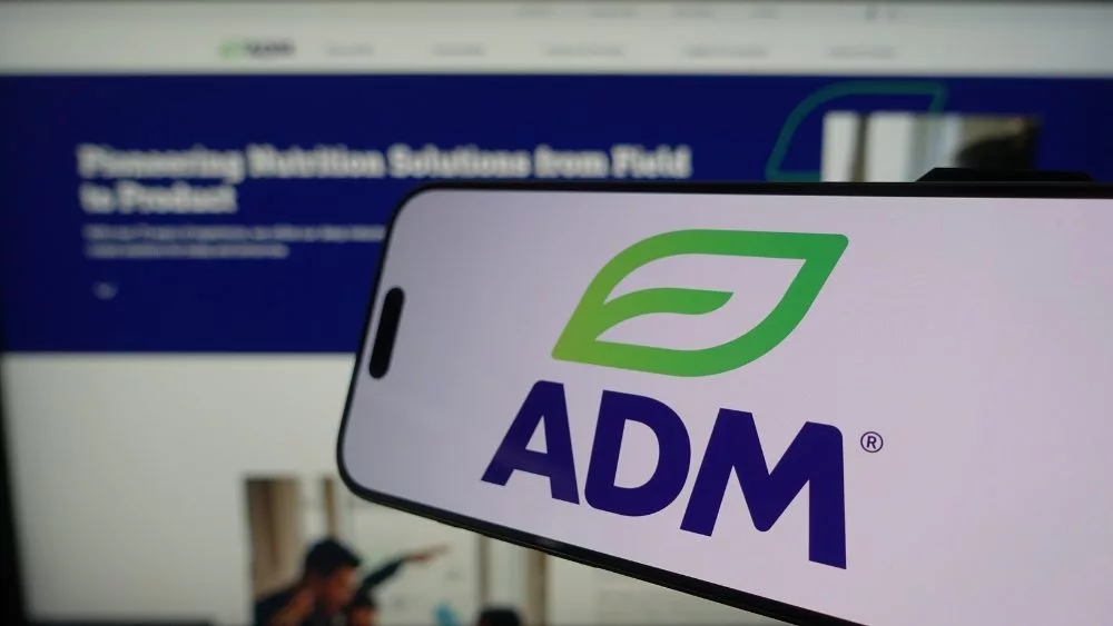 web-photo-template-onecms-1000-x-563-px-12-3