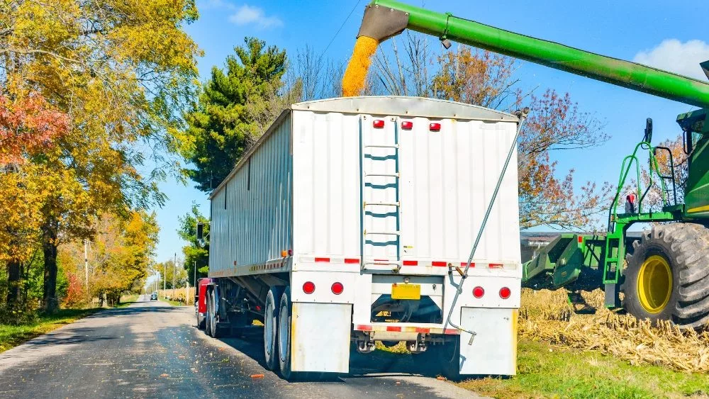 web-photo-template-onecms-1000-x-563-px-20