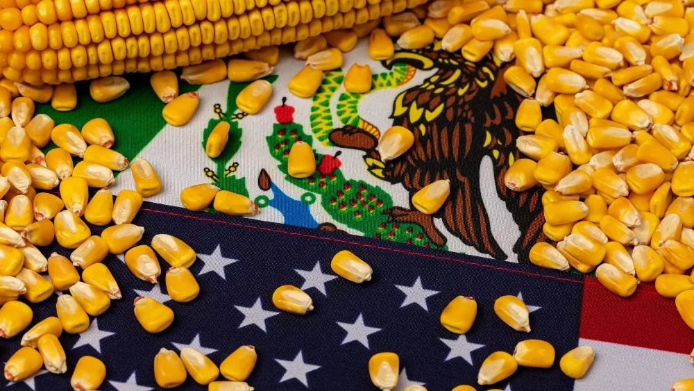 web-photo-template-onecms-1000-x-563-px-21