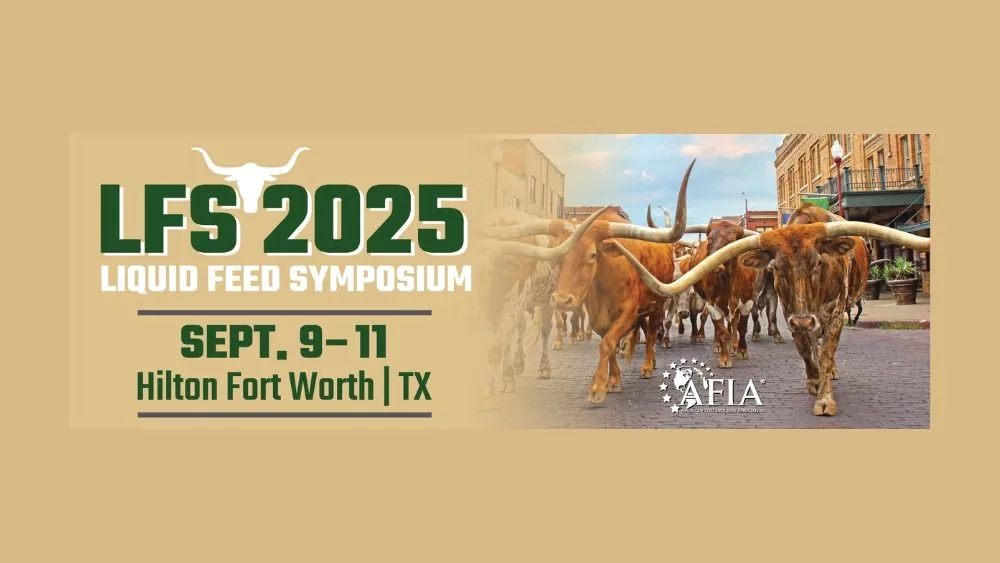 web-photo-template-onecms-1000-x-563-px-33-2