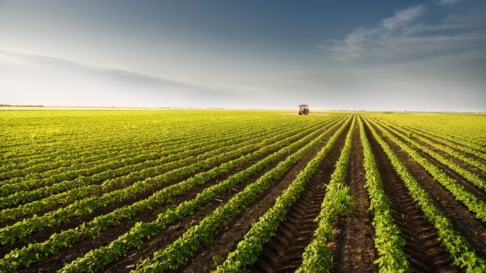 tractor-spraying-soy-field-in-sunset