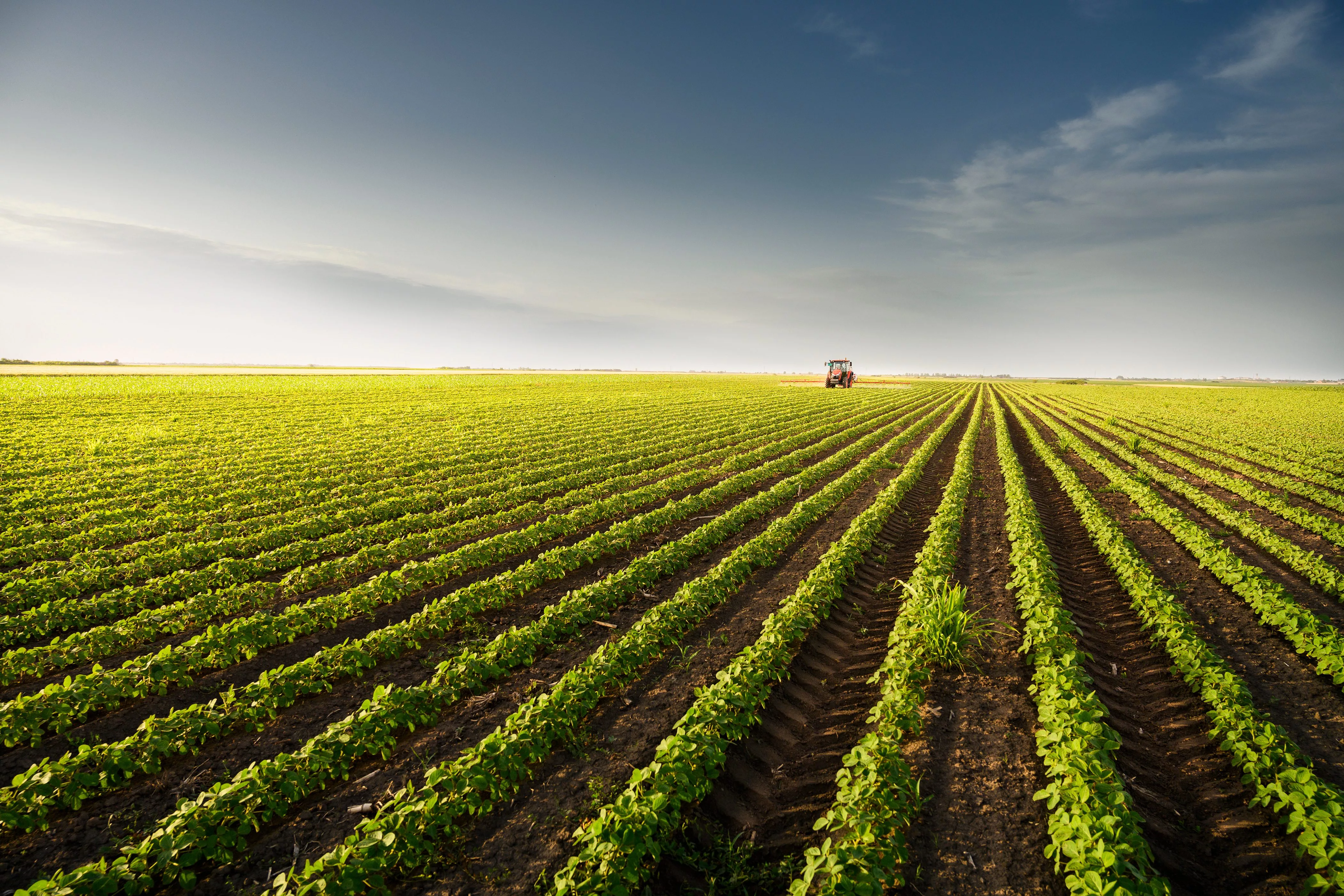tractor-spraying-soy-field-in-sunset