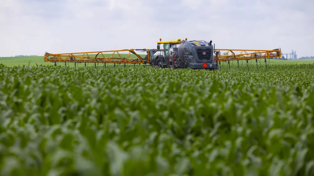 20210629cor_corn_latimer_iowa_0033-lowres