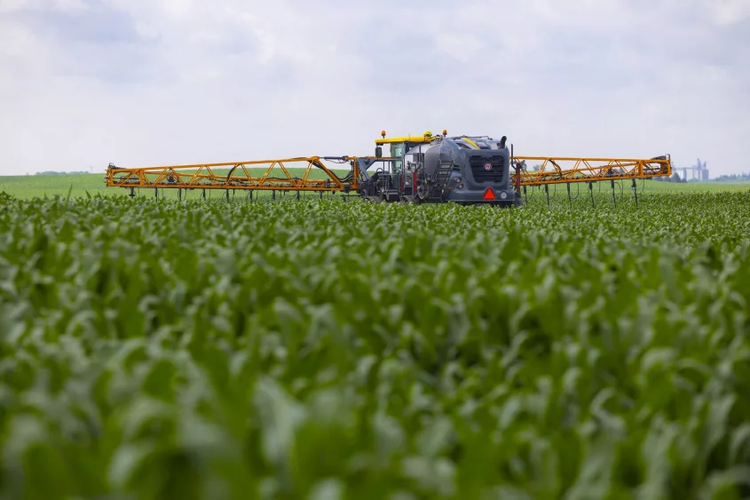 20210629cor_corn_latimer_iowa_0033-lowres