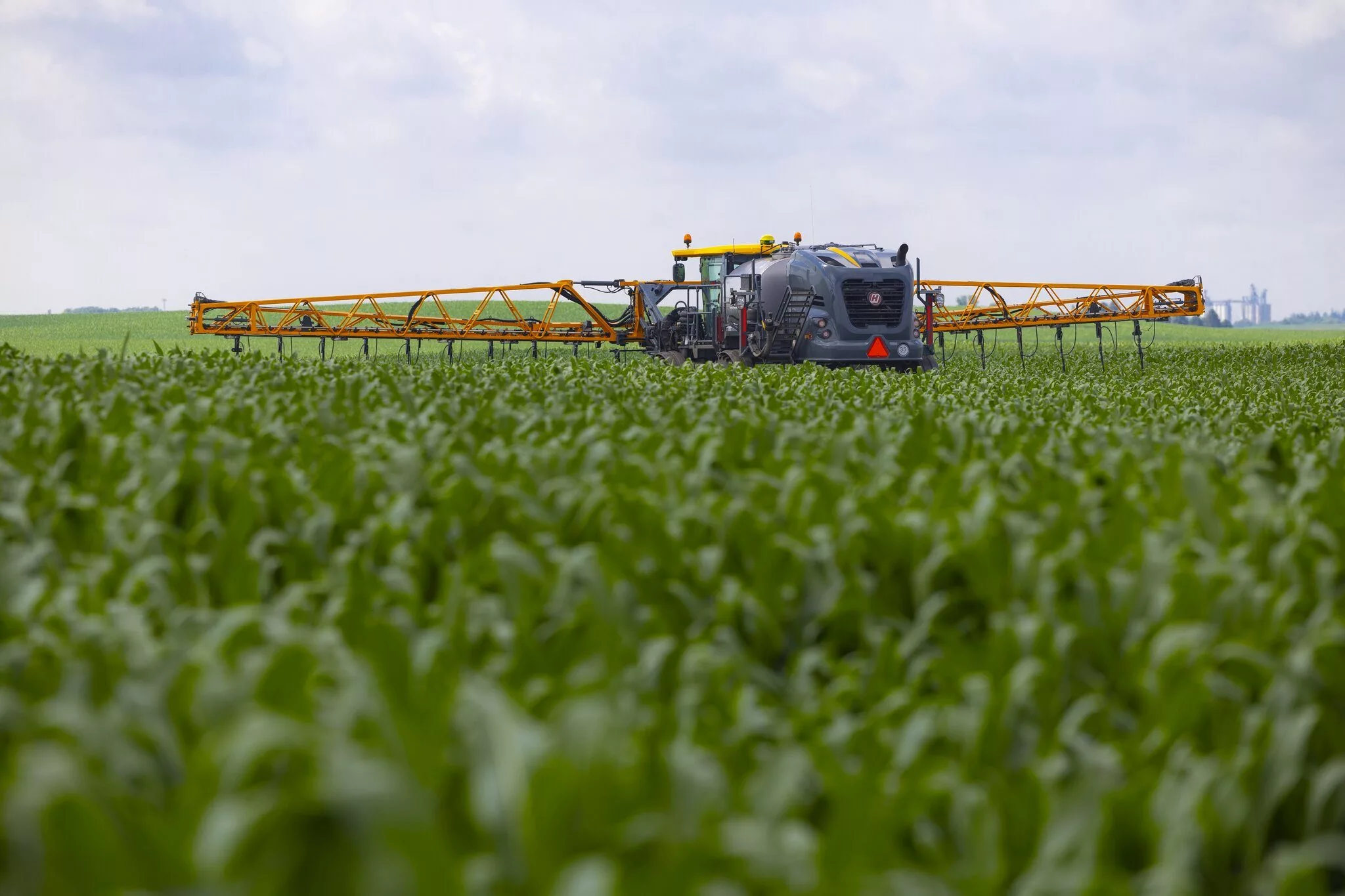 20210629cor_corn_latimer_iowa_0033-lowres