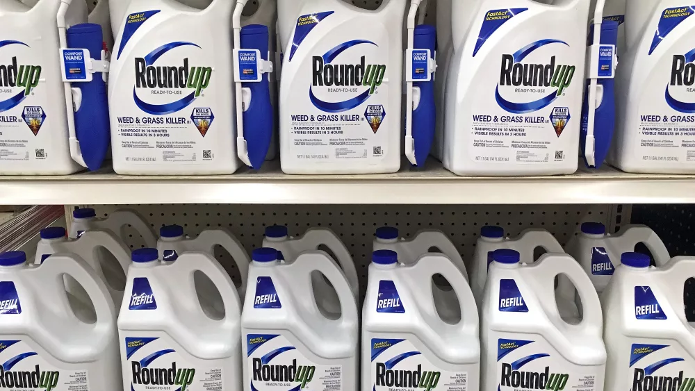Plymouth, WI – September 18, 2018: Store shelf full of many bottles of Roundup ready to use weed and grass killer. Sprayer and refils.