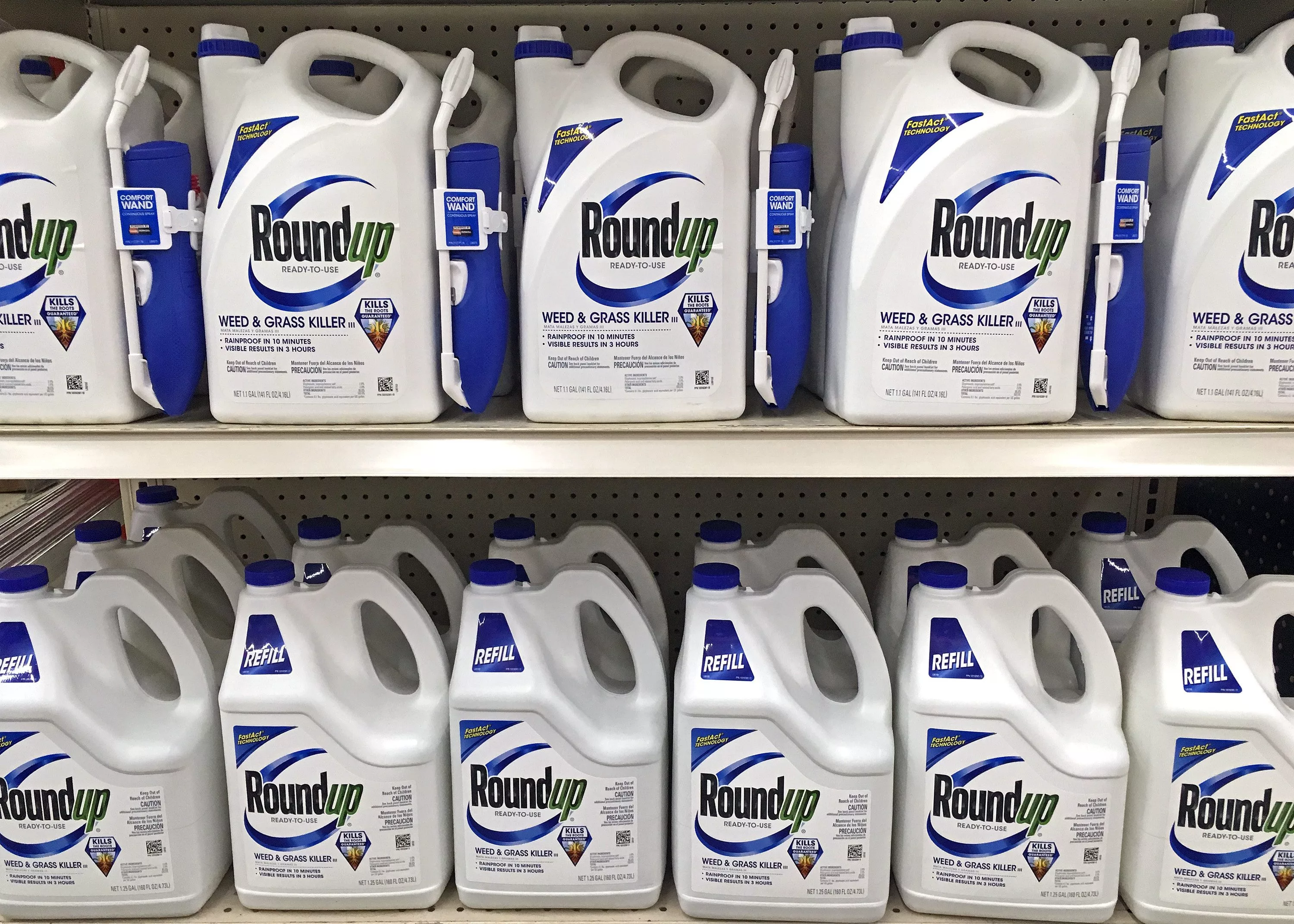 Plymouth, WI – September 18, 2018: Store shelf full of many bottles of Roundup ready to use weed and grass killer. Sprayer and refils.