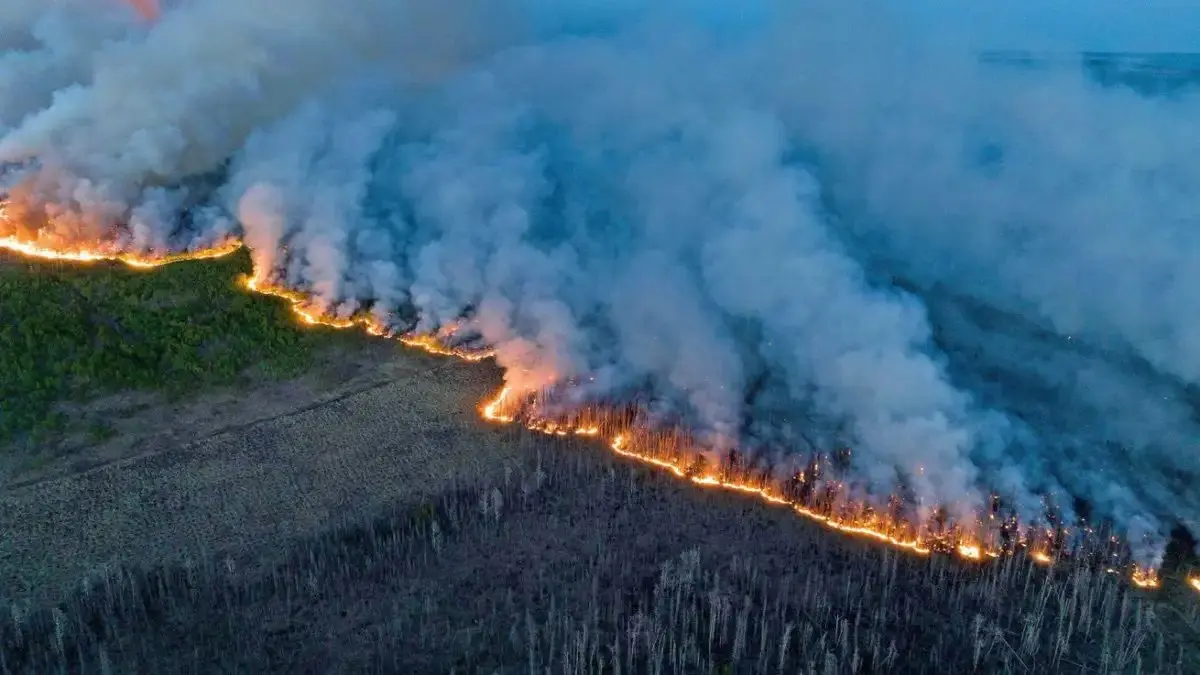 Aerial view of a Canadian wildfire burning through a forest with thick smoke billowing into the sky.