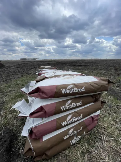 wb-seed-bags-mn-2025