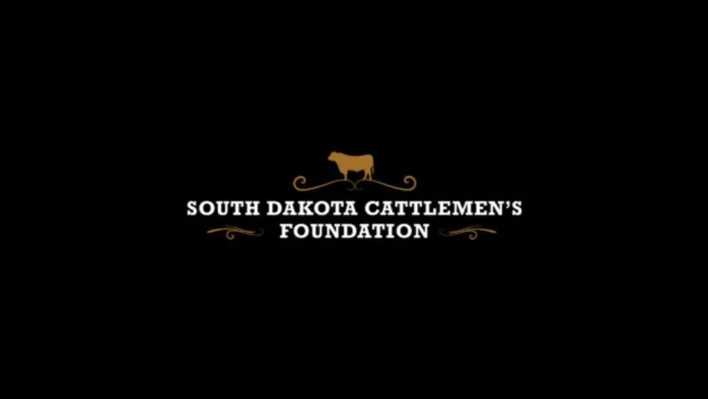 web-photo-template-onecms-1000-x-563-px-81