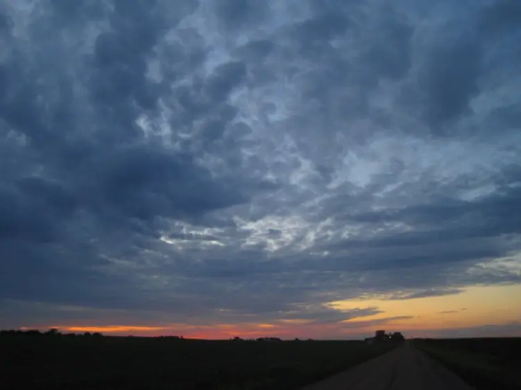 agronomy_photos_none_8652-lowres