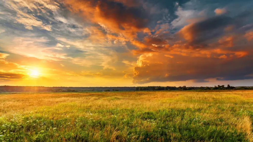 sunset-landscape-with-a-plain-wild-grass-field-and-a-forest-on-b