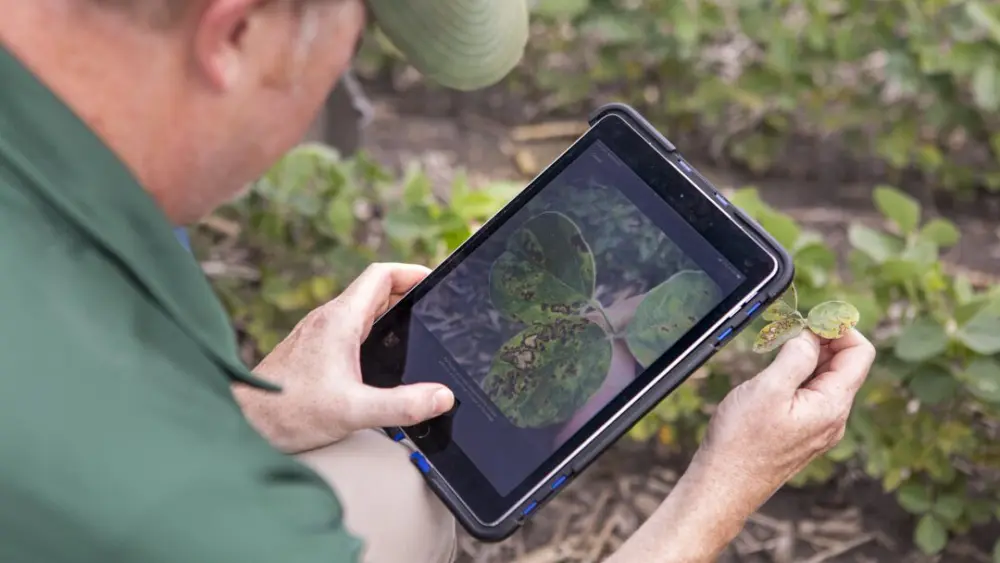 20200629cor_crop-protection-soybean_waukee_iowa_0128-lowres