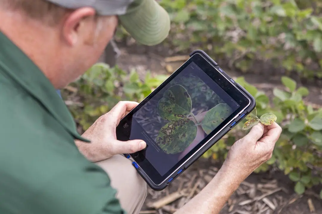 20200629cor_crop-protection-soybean_waukee_iowa_0128-lowres