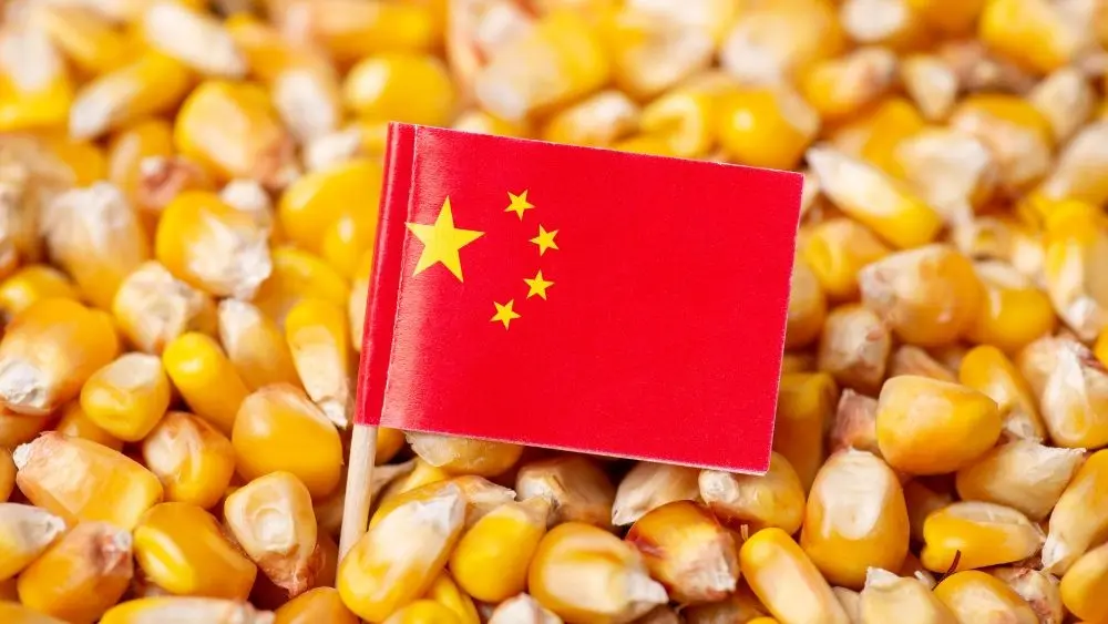 web-photo-template-onecms-1000-x-563-px-2025-07-24t112121-228