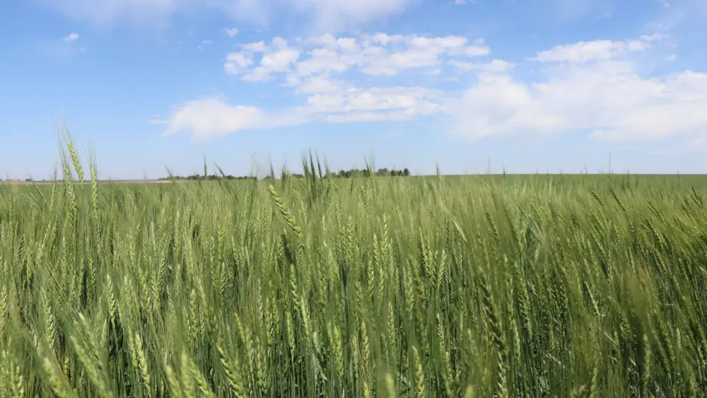 hpal-6-11-2025-w64-tour