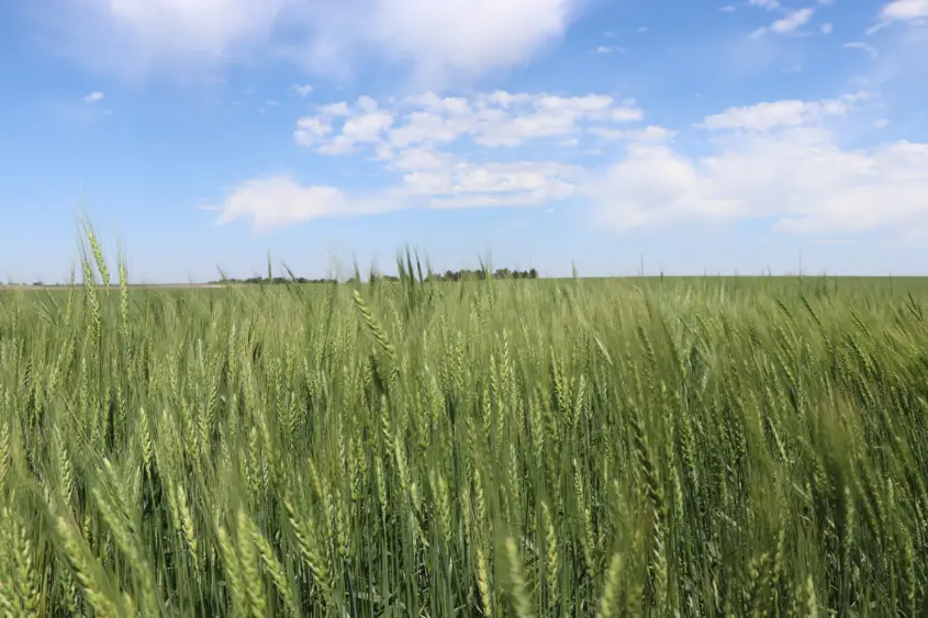 hpal-6-11-2025-w64-tour