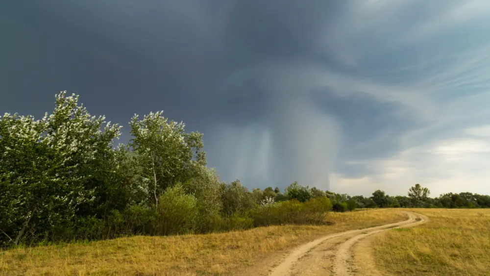 dramatic-storm-and-microburst-cloud-with-rain-over-country-road-in-rural-area