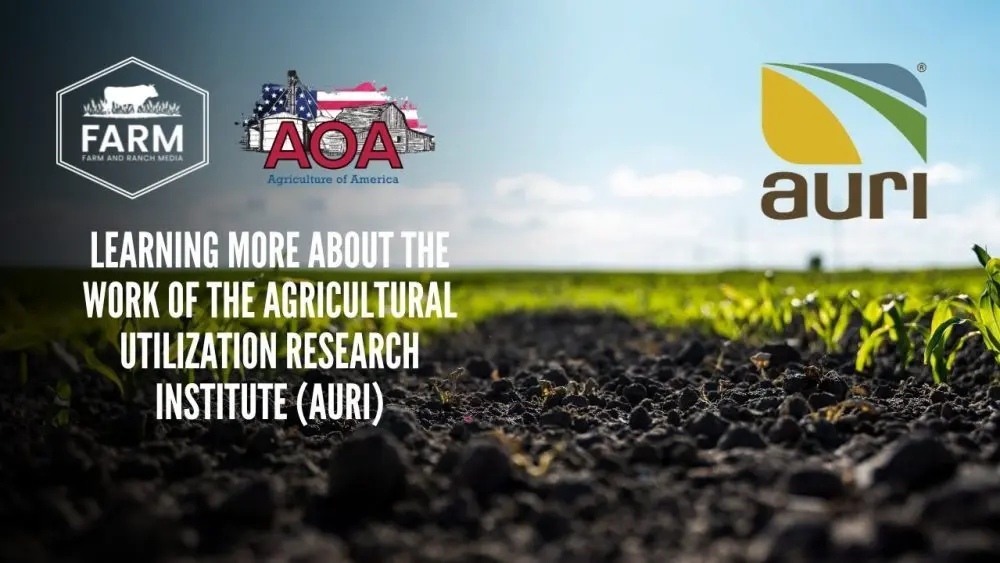 auri-thumbnail-1000x56322897-1