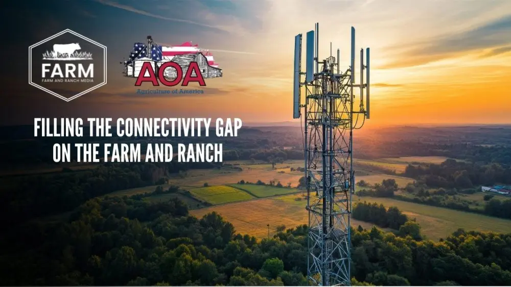 auri-thumbnail-1-1000x563664768-1