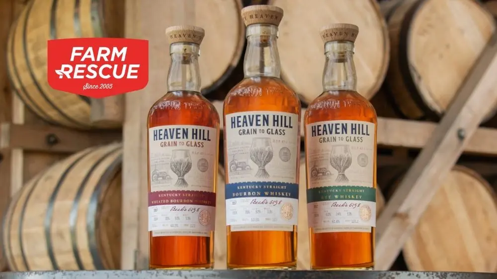 web-photo-template-onecms-1000-x-563-px-71117805