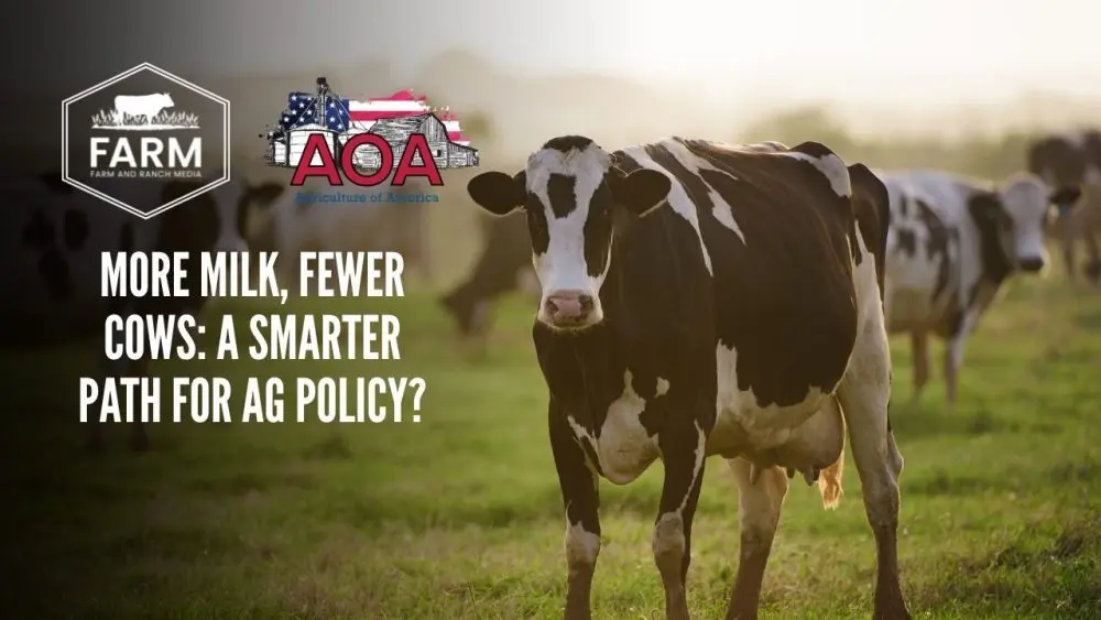 copy-of-thumbnail-5-1000x563928275-1