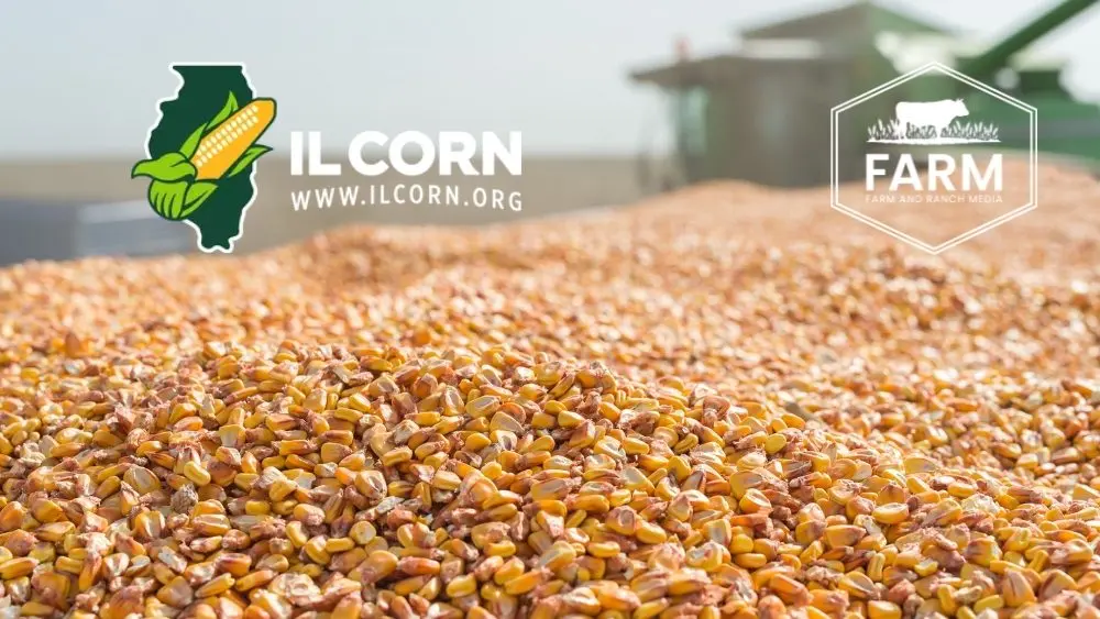 web-photo-template-onecms-1000-x-563-px-2025-08-28t191119-698