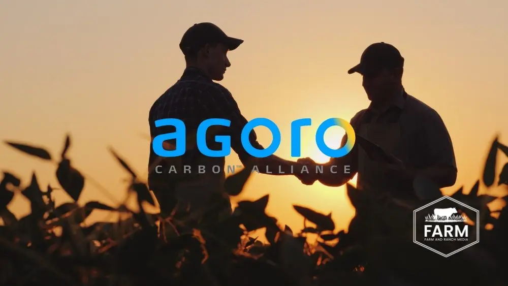 web-photo-template-onecms-1000-x-563-px-2025-08-28t192921-098