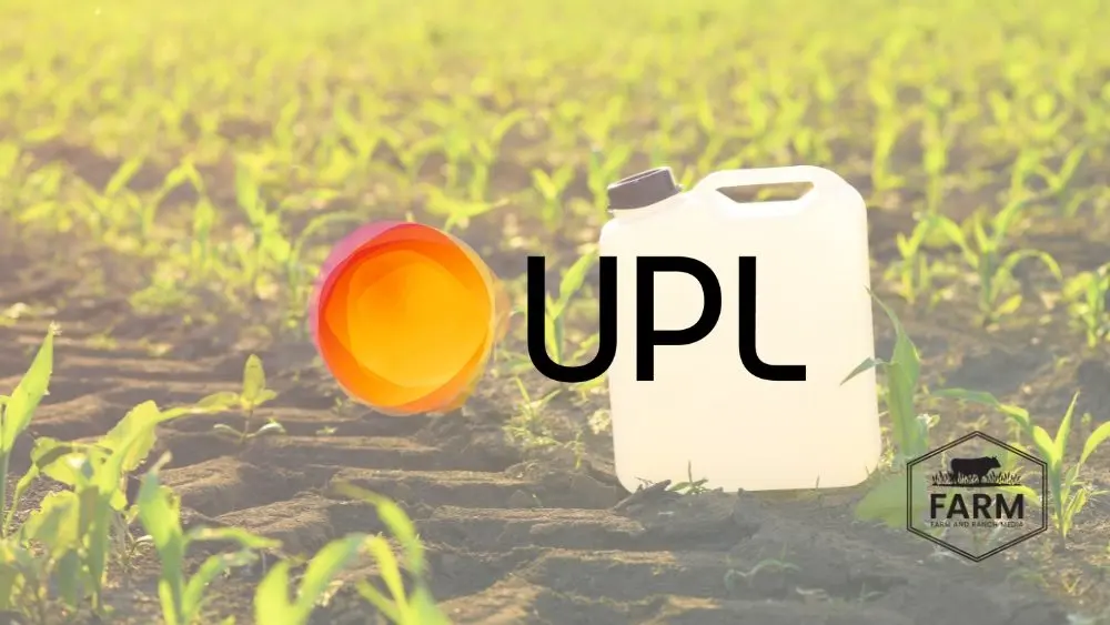 web-photo-template-onecms-1000-x-563-px-2025-08-28t194914-346