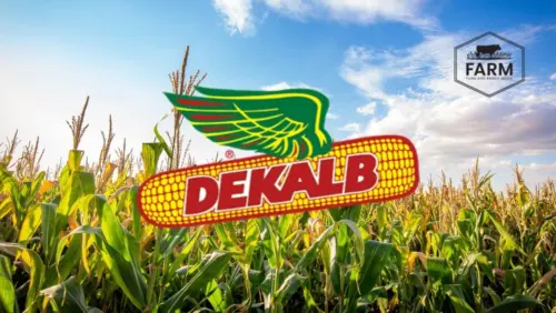 web-photo-template-onecms-1000-x-563-px-2025-08-28t200621-702