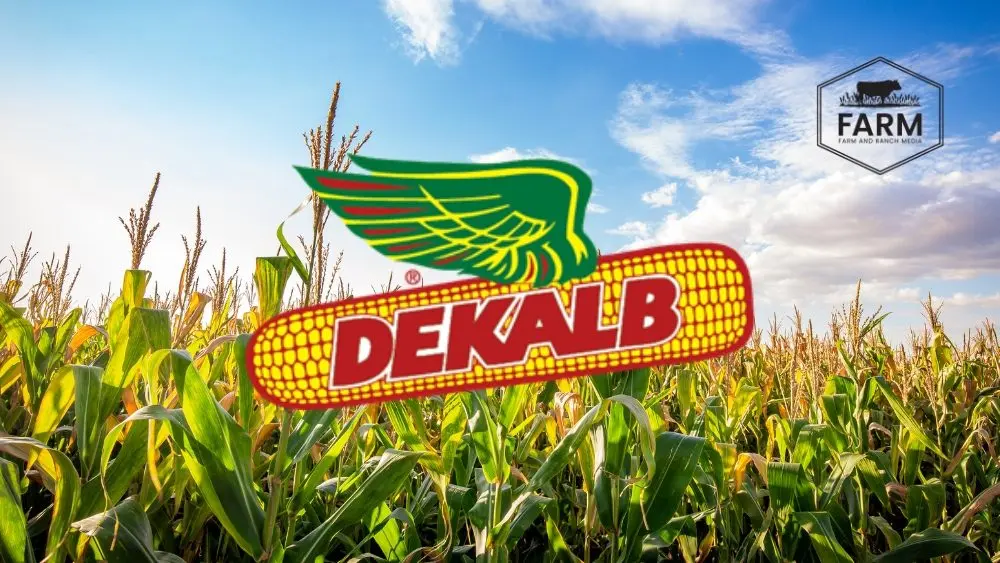 web-photo-template-onecms-1000-x-563-px-2025-08-28t200621-702