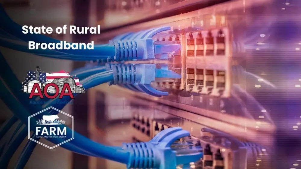 copy-of-thumbnail-1-1000x563280235-1