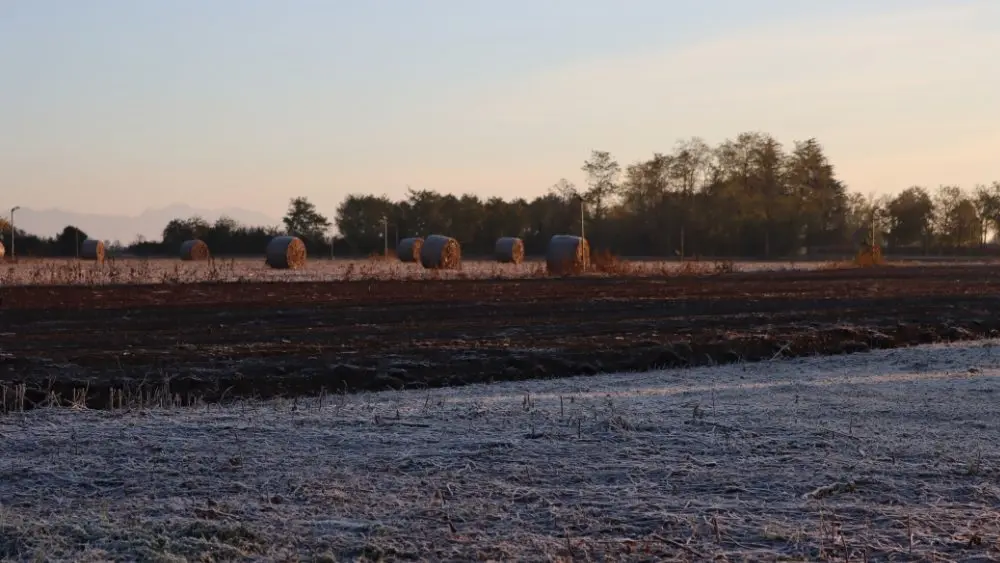 web-photo-template-onecms-1000-x-563-px-2025-09-02t150855-297