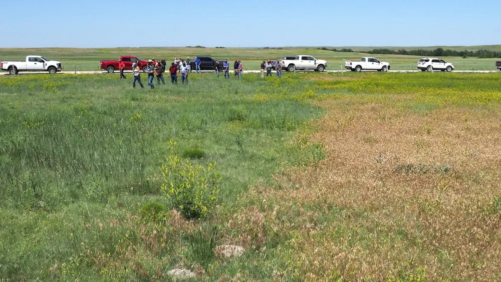 olympus-digital-camera-2