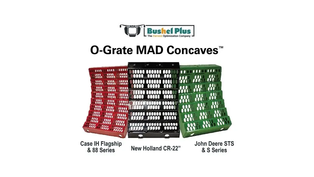 web-photo-template-onecms-1000-x-563-px-2025-09-03t152028-566