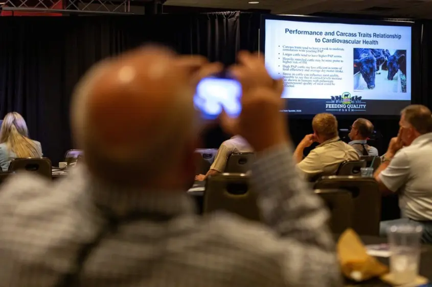 unnamed-2025-09-04t113851-196