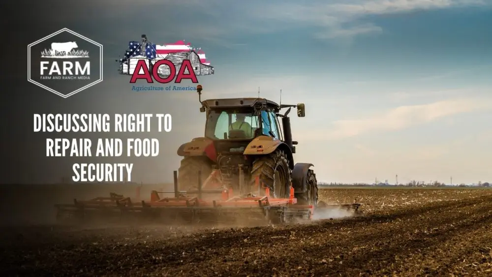 thunderstruck-thumbnail-1000x563765025-1