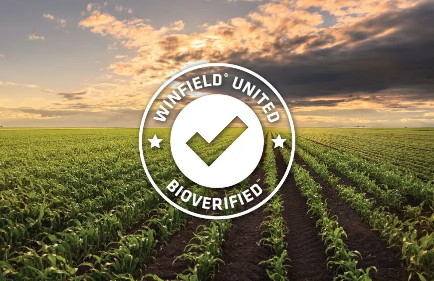 unnamed-2025-09-08t084142-212